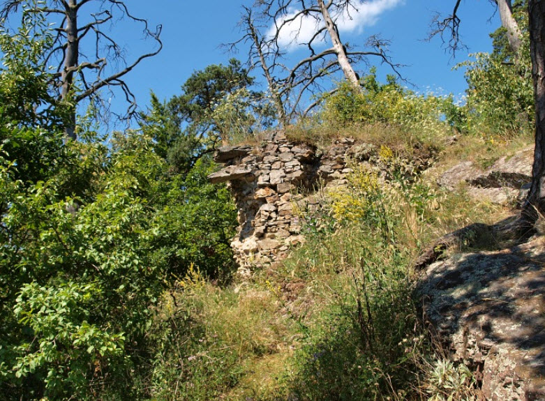 Zřícenina Hradu Kozlov, Czech Republic (Czechia)